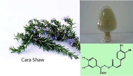 Kingherbs offer China Rosmarinic Acid